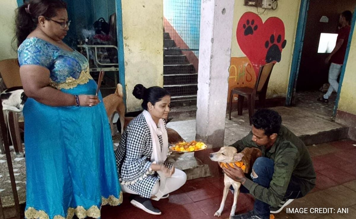 This West Bengal City Worships Dogs, Celebrates 'Kukur Tihar' Festival