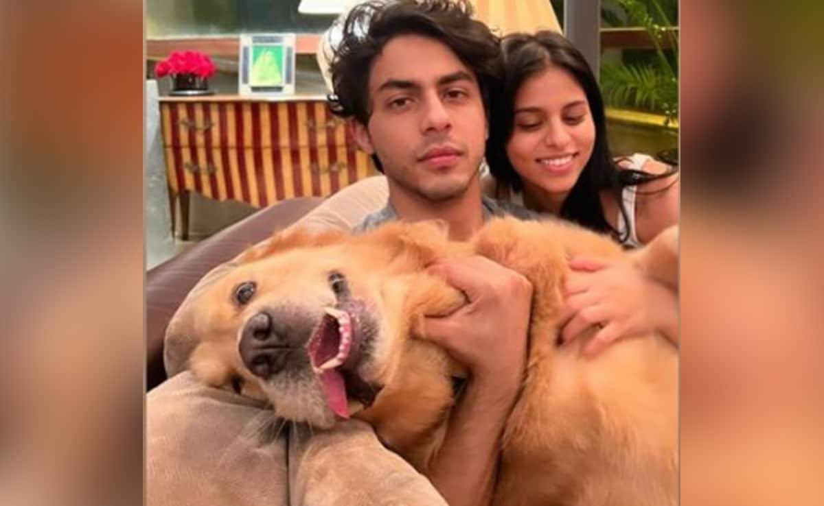 Suhana Khan's Aww-Dorable Wish For Brother Aryan Khan On His 26th Birthday