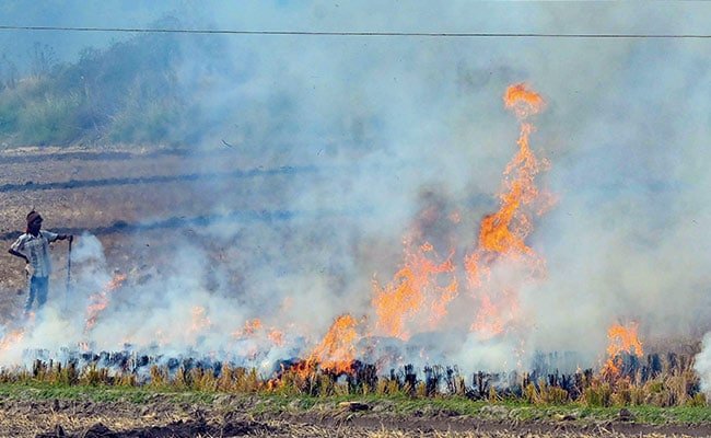 Punjab Reports Over 3,000 Stubble Burning Incidents Today, Highest So Far