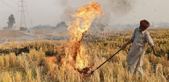 Haryana Says It Has Taken Stringent Measures Against Stubble Burning